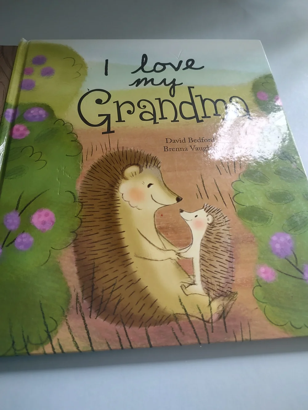 Bundle of  2  books For Kids  Hard Cover Excellent Condition